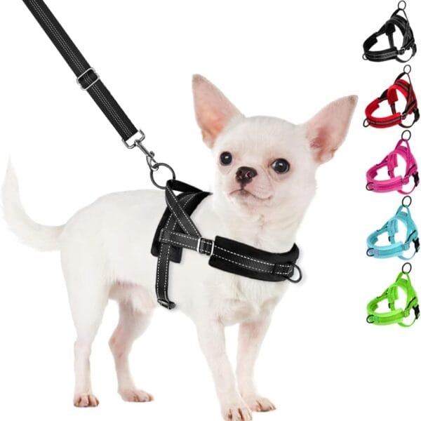 SlowTon No Pull Small Dog Harness and Leash Set, Puppy Soft Vest Harness Neck & Chest Adjustable, Reflective Lightweight Harness & Anti-Twist Pet Lead Combo for Small Medium Dogs (Black, XS)