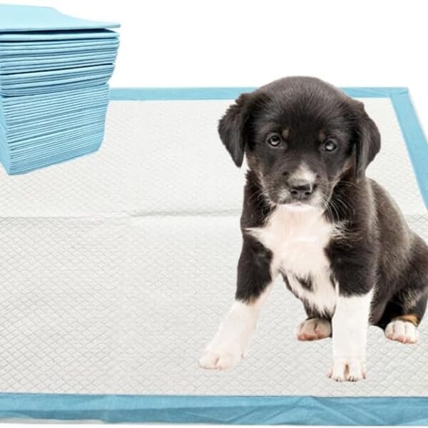Puppy Pee Pads, 50 Count - 22 x 22 Inch Leak-Proof Pet Potty Training Pads for Dogs, Quick Absorb 6-Layer Design, Ideal for Puppies, Cats, Rabbits, and Guinea Pigs