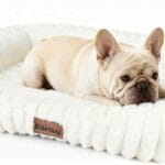 Cute Washable Dog Bed for Small Medium Dogs, Orthopedic Plush Rectangle Anti-Anxiety Dog Bed, Medium Calming Bolster Puppy Bed with Durable Removable Zipper Cover&Anti-Silp Bottom, 30in, Cream