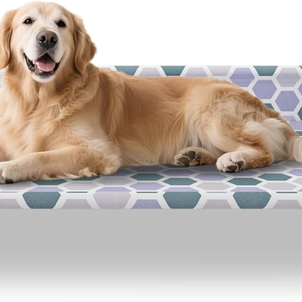 Elevated Dog Bed, Cooling Outdoor Dog Cot with 3-Sided Guard Rails, Raised Pet Bed for Indoor and Outdoor, Medium(32.68" L x 19.88" W x 5.9" Th)