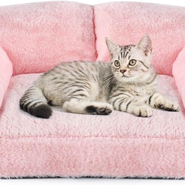 pawstrip Cat Couch Bed with Removable Cover Washable Pink Small Dog Bed Soft Plush Pet Sofa for Indoor Cats Cute Princess Puppy Cushion, Non-Slip Bottom (Pink, 30x21x12 inch)