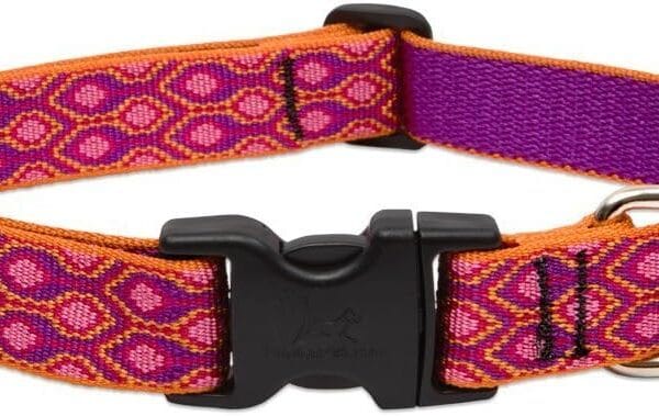 LupinePet Originals 1" Alpen Glow 12-20" Adjustable Collar for Medium and Larger Dogs