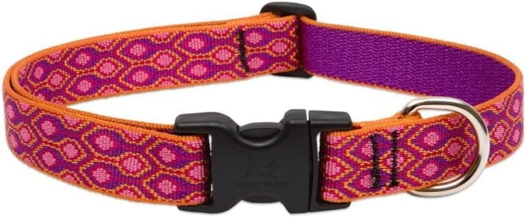 LupinePet Originals 1" Alpen Glow 12-20" Adjustable Collar for Medium and Larger Dogs