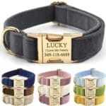 PETDURO Personalized Dog Collar Gray Soft Velvet for Large Medium Small Boy Girl Dogs - Custom Collar with Name Phone Engraved on Gold Metal Buckle - Add Matching Leash Bow Set via Customize Now