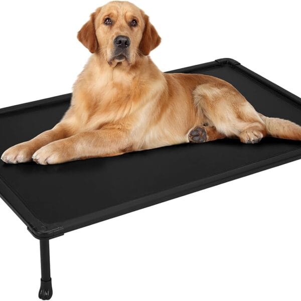 Veehoo Chew-Proof Elevated Dog Bed, Durable Training Platform for Large Dogs, Indoor/Outdoor Raised Pet Cot, Black, 41x27inches, Model CWC2420CP