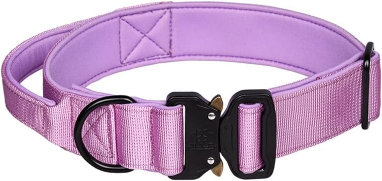 Serijoars Tactical Dog Collar, Heavy Duty Dog Collars with Handle, Metal Buckle Dog Training Collar, Thick Dog Collar for Male, Large Dog Collar, Military Dog Collar (M, Purple)