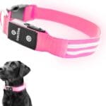 Tractive LED Light Up Dog Collar USB Rechargeable Waterproof (Pink)