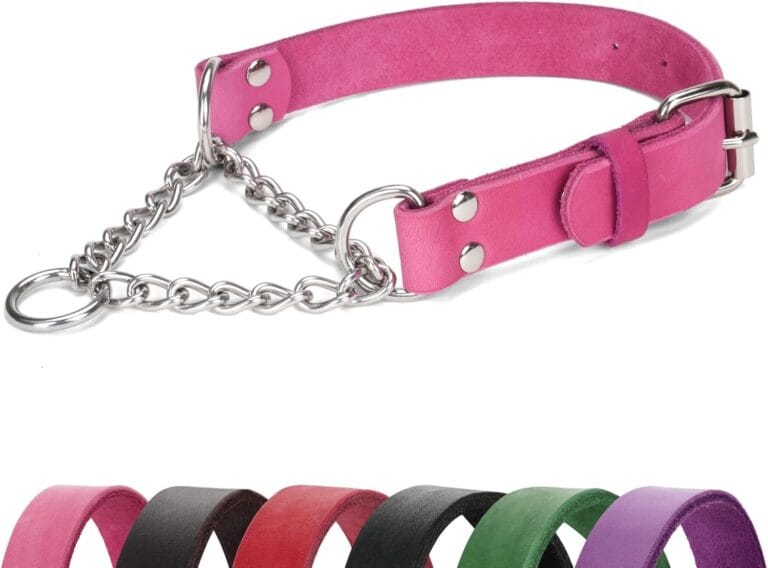 Martingale Collar for Dogs No-Pull Adjustable Training Collar with Stainless Steel Chain - Genuine Leather Anti-Slip Design for Small,Medium,Large Breed Dogs - Pink (M)