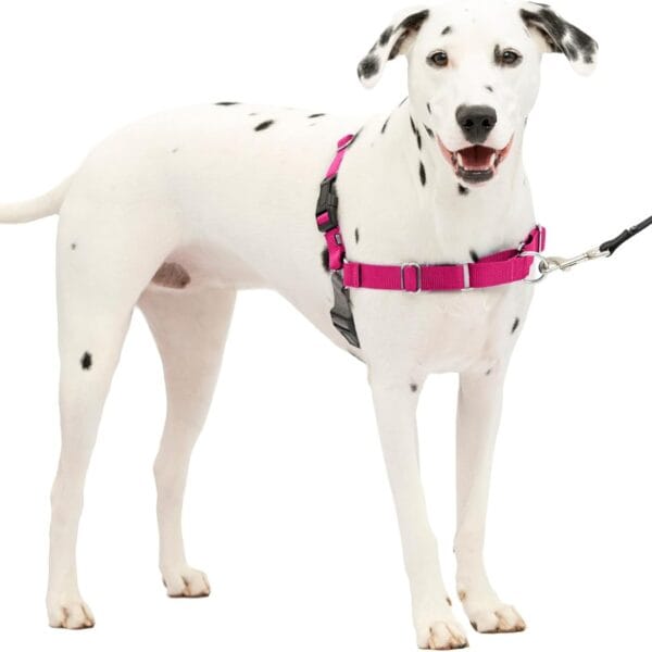 PetSafe Easy Walk No-Pull Dog Harness - The Ultimate Harness to Help Stop Pulling - Take Control & Teach Better Leash Manners - Helps Prevent Pets Pulling on Walks, Medium/Large, Raspberry/Gray