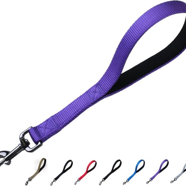 Advanced 12 Inches Nylon Short Dog Leash with Heavy Duty Clasp and Comfortable Soft Padded Handle for Large Medium Breed Dogs Jogging,Walking,Training etc... (12 Inches, Ultra Violet)