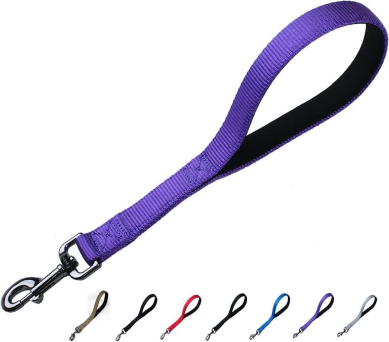 Advanced 12 Inches Nylon Short Dog Leash with Heavy Duty Clasp and Comfortable Soft Padded Handle for Large Medium Breed Dogs Jogging,Walking,Training etc... (12 Inches, Ultra Violet)