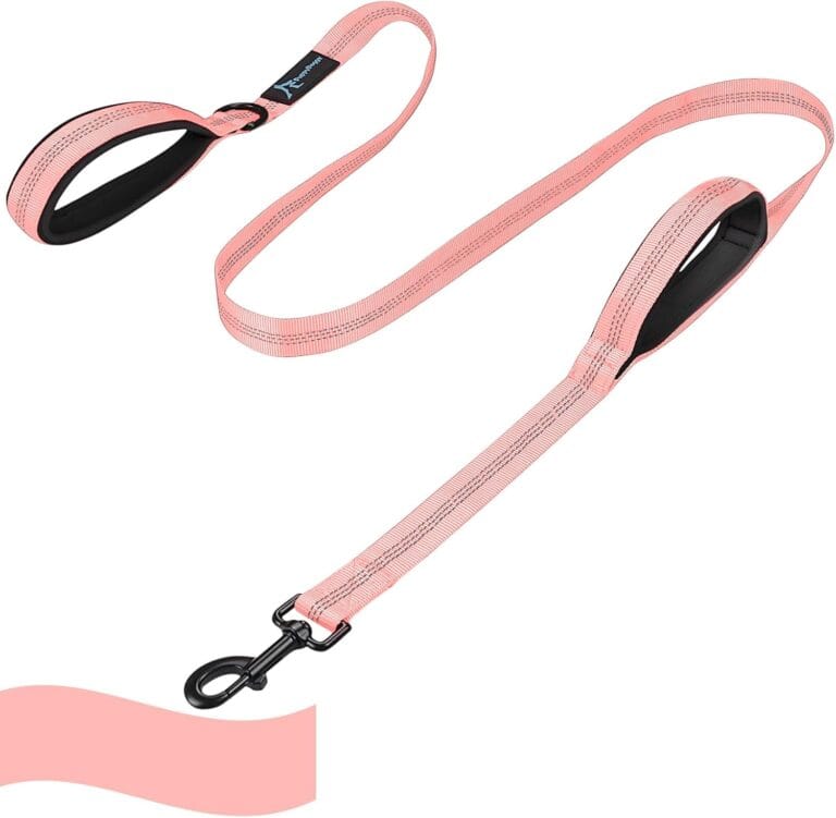 PuppyDoggy Dog Leash for Large Medium Dogs 6Ft x 1" Reflective Stitching Large Leash with 2 Traffic Padded Handles Dog Lead Rope for Running Walking Training (Pink 1 Pack)