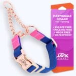 Jelly Waterproof Martingale Dog Collar, No Pull Nylon Collar with Alloy Metal Buckle & D-Ring for Outdoor Training and Walking, Anti Pull, Escape Free, One Time Adjustment - Blue & Rose, L