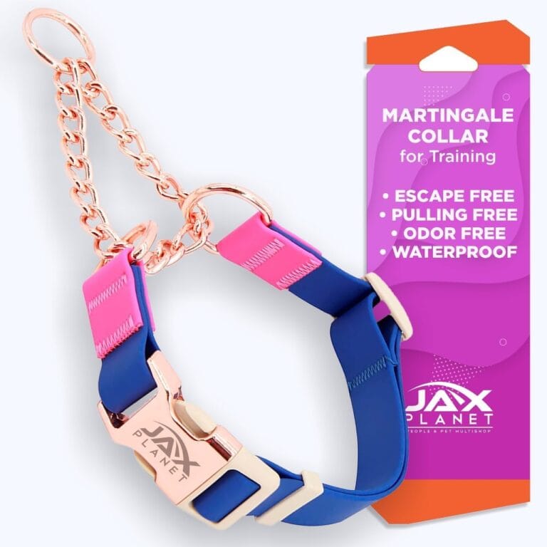 Jelly Waterproof Martingale Dog Collar, No Pull Nylon Collar with Alloy Metal Buckle & D-Ring for Outdoor Training and Walking, Anti Pull, Escape Free, One Time Adjustment - Blue & Rose, L