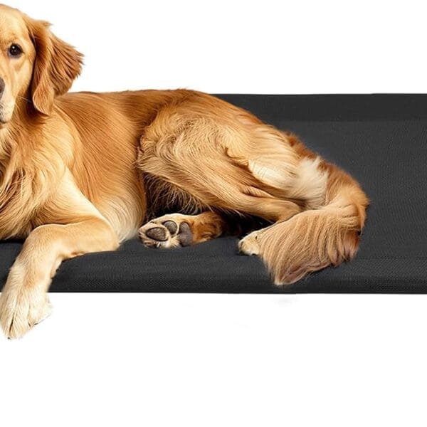 Veehoo Original Elevated Dog Bed - Outdoor Raised Dog Cot, One-Sided Raised Headboard Cooling Pet Bed, Non-Slip & Breathable, XL