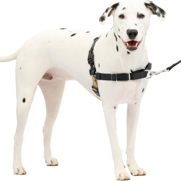 PetSafe Easy Walk Harness for Dogs - Pull-Free Walks - Patented Martingale Loop Design - Front Chest Leash Attachment - Comfort Straps - Breathable Harness Design - Medium/Large, Black/Silver