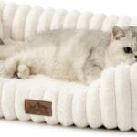 Orthopedic Dog Bed for Small Dogs & Cats - Washable Rectangle Pet Bed with Anti-Slip Bottom, Soft Calming Cat & Puppy Bed for Indoor Pets (25"x21"x6", Cream)