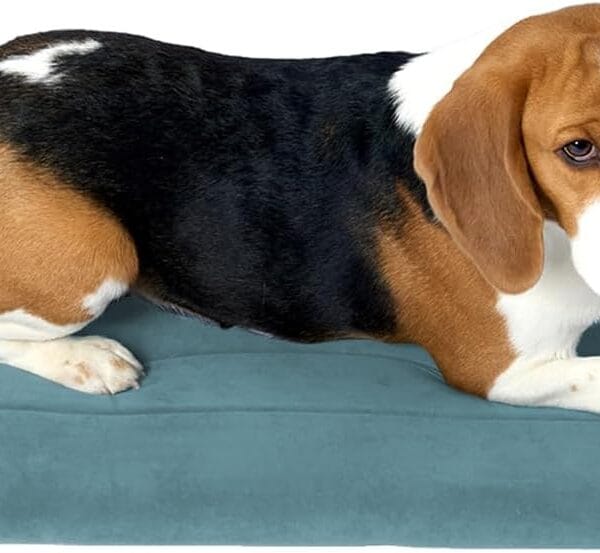 BALANCE Dog Crate Bed, Orthopedic Dog Bed Pad with Waterproof Liner, Washable Crate Foam Pet Mat for Large, Medium, Puppy Dogs Breeds, Powder Blue, 36"x23"x1.6"