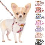 SlowTon No Pull Dog Harness with Leash - Soft Lightweight Floral Pattern Puppy Harness, Adjustable Pet Harness for Small Medium Dogs (Flower XXS)