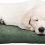 Water-Resistant Dog Bed - Orthopedic Dog Bed with Removable Washable Cover, Non-Slip Bottom, and Egg Crate Style Foam - 25.5in Small Pet Bed - Puppy Essentials by PETMAKER (Green)