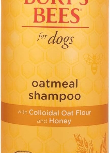 Burt's Bees for Pets Oatmeal Shampoo for Dogs with Colloidal Oat Flour and Honey - Skin Soothing Dog Oatmeal Shampoo, Moisturizing Dog Wash for Itchy Dry Skin, Essential Grooming Supplies, 16 Fl Oz