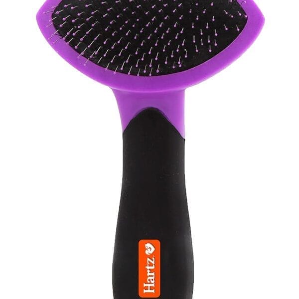 Hartz Groomer's Best Small Slicker Brush for Cats and Small Dogs, Black/Violet, 1 Count