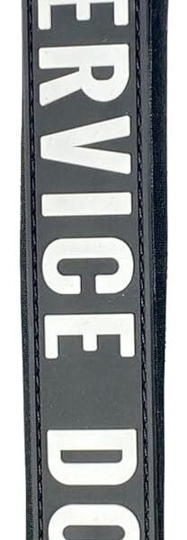 Pet Leash Wrap - Service Dog