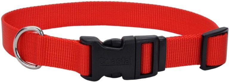 Coastal Pet - Adjustable Dog Collar with Plastic Buckle, Red, 3/4" x 14"-20"