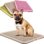 BANU Puppy Pee Pad Holder Indoor Outdoor Dog Potty Toilet Training Tray 20" x 16" for Small and Medium Dogs (Ivory)