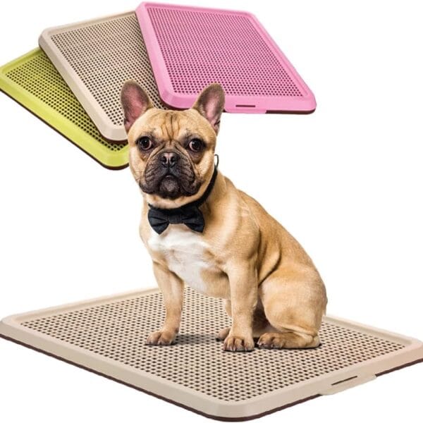 BANU Puppy Pee Pad Holder Indoor Outdoor Dog Potty Toilet Training Tray 20" x 16" for Small and Medium Dogs (Ivory)
