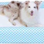 Indestructible Dog Couch Bed for Large Dogs - Orthopedic Dog Bed with Memory Foam, Reversible Breathable Mat, 4-Sided Bolster, Machine Washable Cover & Non-Slip Bottom, 36" x 27" x 6"