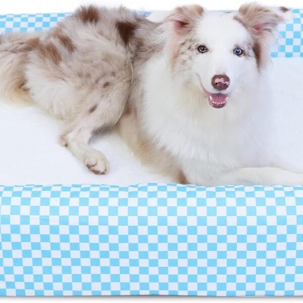 Indestructible Dog Couch Bed for Large Dogs - Orthopedic Dog Bed with Memory Foam, Reversible Breathable Mat, 4-Sided Bolster, Machine Washable Cover & Non-Slip Bottom, 36" x 27" x 6"