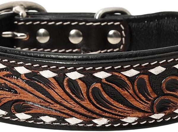 Hilason Buckstitch Floral Hand Tooled Strong Genuine Leather Dog Collar Brown Medium