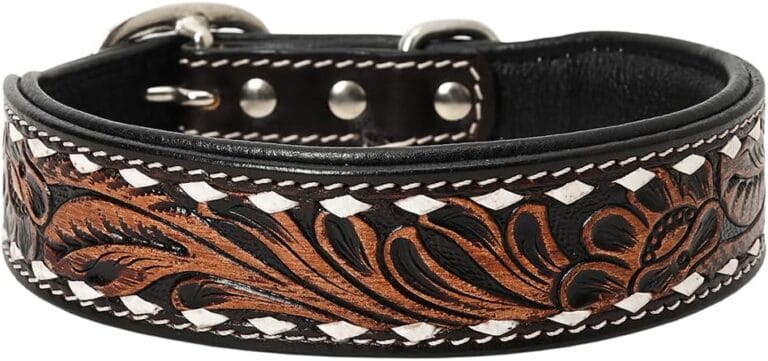 Hilason Buckstitch Floral Hand Tooled Strong Genuine Leather Dog Collar Brown Medium