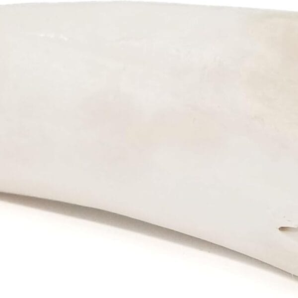 Cadet Stuffed Shin Bone, Long-Lasting Dog Chew Bones for Aggressive Chewers, High Protein Filled Bone Dental Chew for Dogs, Peanut Butter Flavor Filling, 5-6" for Large Dogs