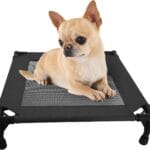 Pozico Elevated Pet Bed with Breathable Mesh for Small Cat and Dog, Raised Cooling Pet Cot for Puppy and Kitty, 18.9x18.9 inch (Black Bed)