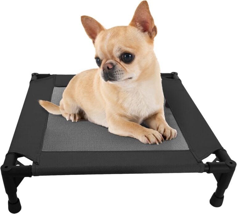 Pozico Elevated Pet Bed with Breathable Mesh for Small Cat and Dog, Raised Cooling Pet Cot for Puppy and Kitty, 18.9x18.9 inch (Black Bed)
