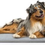 Toozey Outdoor Pet Heating Pad 35x24in,Extremely Waterproof Heated Bed for Dogs and Cats, Thermostatic Control, Chew-Resistant Cord, Soft Electric Blanket with Overheat Protection