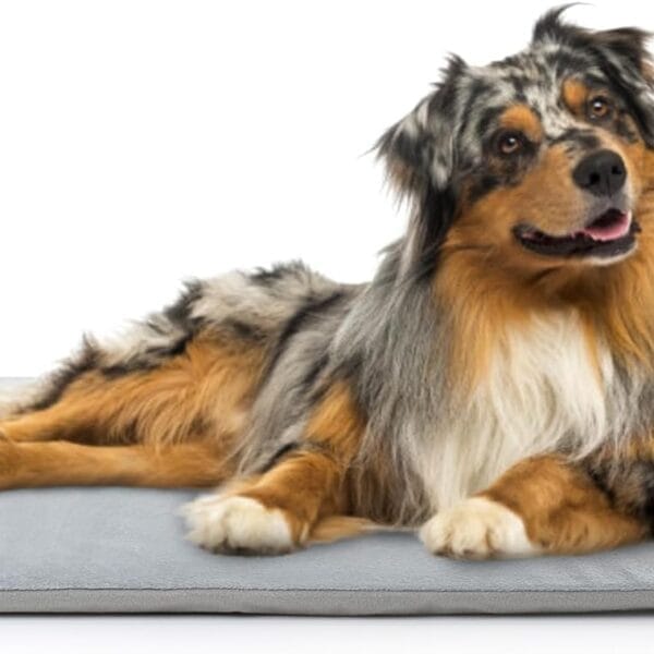 Toozey Outdoor Pet Heating Pad 35x24in,Extremely Waterproof Heated Bed for Dogs and Cats, Thermostatic Control, Chew-Resistant Cord, Soft Electric Blanket with Overheat Protection