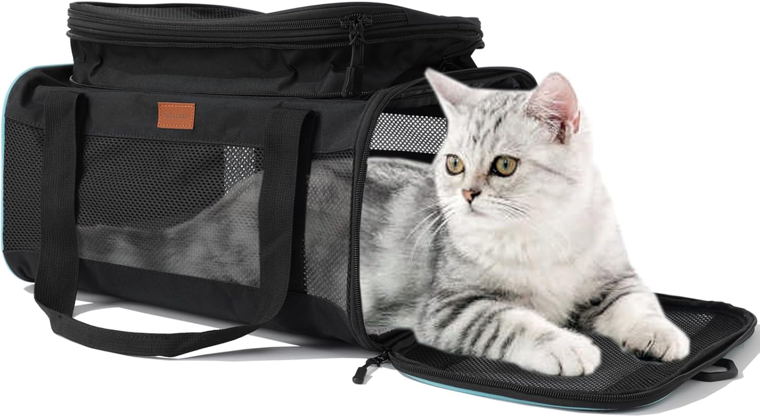 HSC PET Soft Cats Carrier Small Dog Carriers Airline Approved Softsides Pets Bag,Black,Lightweight,Luxury Style,Top Expandable,Guaranteed on Cabin Board Flight Travel Recommend Under 15 lbs (Black) HSC PET Soft Cats Carrier Small Dog Carriers Airline Approved Softsides Pets Bag,Black,Lightweight,Luxury Style,Top Expandable,Guaranteed on Cabin Board Flight Travel Recommend Under 15 lbs (Black)