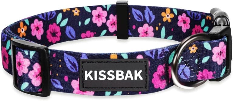 KISSBAK Dog Collar for Medium Dogs - Special Design Cute Girl Dog Pet Collar Soft Adjustable Fancy Floral Girl Puppy Dog Collars (M, Floral)