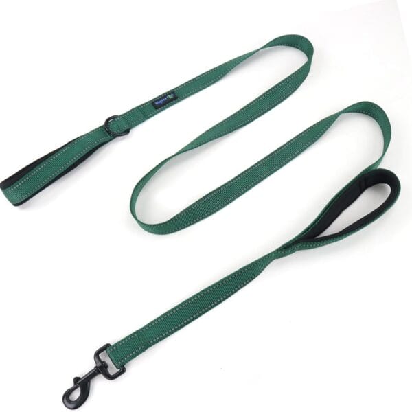 Wagtime Club Double Handle Dog Leash, 6ft Long Heavy Duty Dog Leash with Paded Traffic Handles for Extral Control and Training, Dual Handles Leads, Large Medium Small Dogs (Reflective Hunter Green)