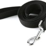 Strong Nylon Dog Leash, for Medium Large Dogs Walking, Training or Exploring, 10 feet Long 1 inch Wide