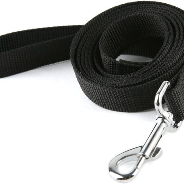 Strong Nylon Dog Leash, for Medium Large Dogs Walking, Training or Exploring, 10 feet Long 1 inch Wide