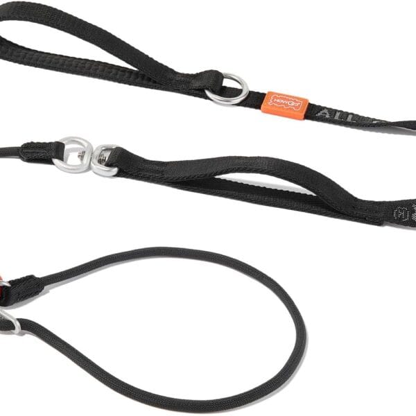 Slip Lead Dog Leash with Double Handles | Reflective Dog Training Leash with 360 Swivel Anti-Tangle | Heavy-Duty Leash and Collar for Large Medium and Small Dogs No-Pull Walking (Black, 5.5FT)