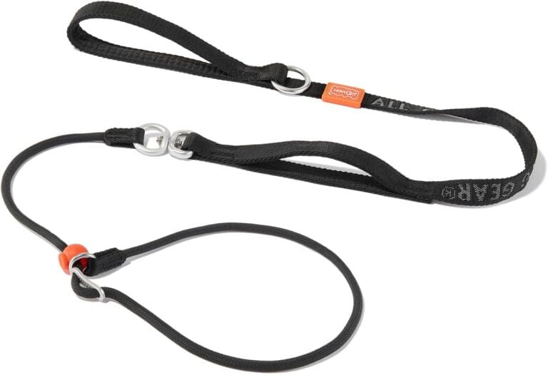 Slip Lead Dog Leash with Double Handles | Reflective Dog Training Leash with 360 Swivel Anti-Tangle | Heavy-Duty Leash and Collar for Large Medium and Small Dogs No-Pull Walking (Black, 5.5FT)