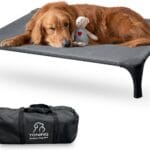 Outdoor Elevated Bed for Large Medium Dogs, Easy to Assemble With Portable Bag, Raised Cot With Pet-Friendly Feet, Breathable Mesh for Camping or Travel, Dark Grey