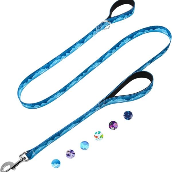 6ft Dog Leash with Two Padded Handles, Heavy Duty Strong Nylon Pet Leash with Soft Neoprene Handle for Medium and Large Dogs, Blue Sunset