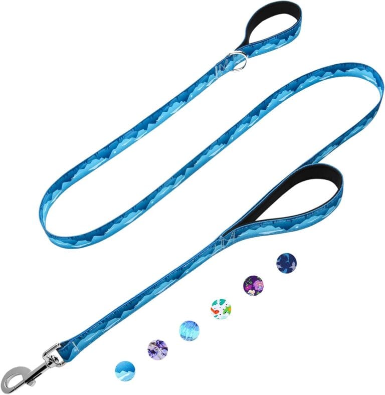 6ft Dog Leash with Two Padded Handles, Heavy Duty Strong Nylon Pet Leash with Soft Neoprene Handle for Medium and Large Dogs, Blue Sunset