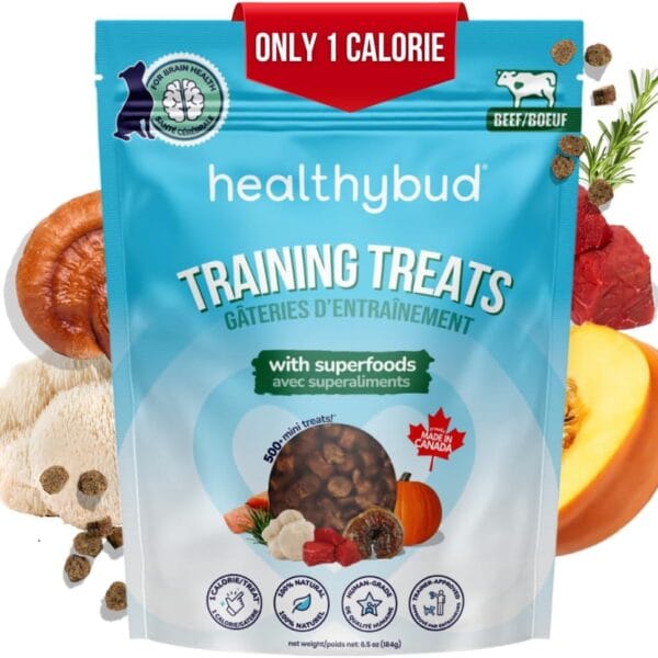 healthybud Mini Dog Training Treats - Beef Liver Soft Trainer Bites, 500+ Bits, 1 kCal per Bite, 6.5oz, Reishi, Lions Mane, Salmon Oil, Puppy Chews (Beef)